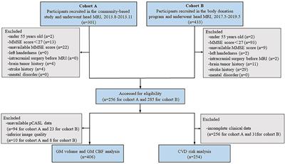 The Association Between Perivascular Spaces and Cerebral Blood Flow, Brain Volume, and Cardiovascular Risk